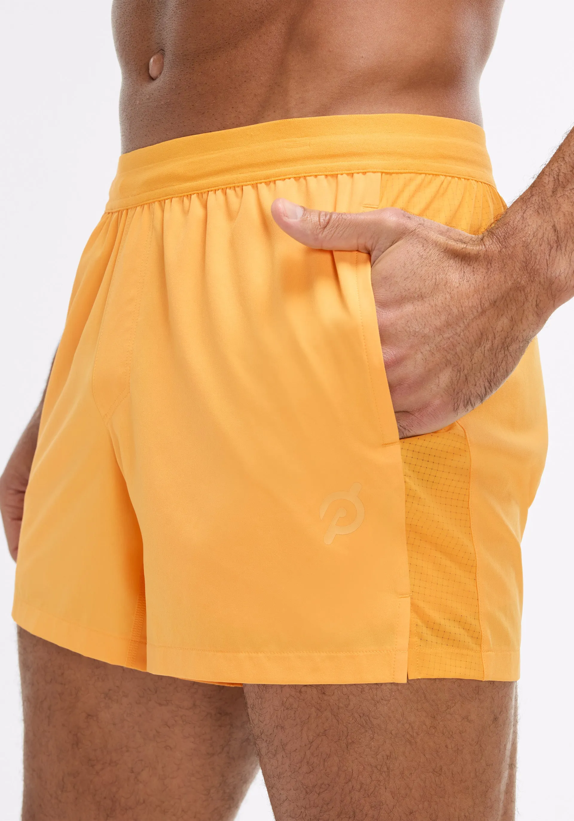Stretch Fabric 5" Lined Summit Short