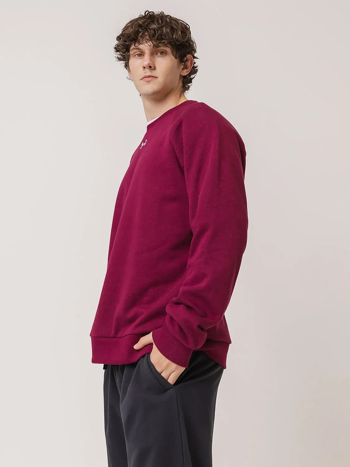 Costume like Rival Fleece Crew
