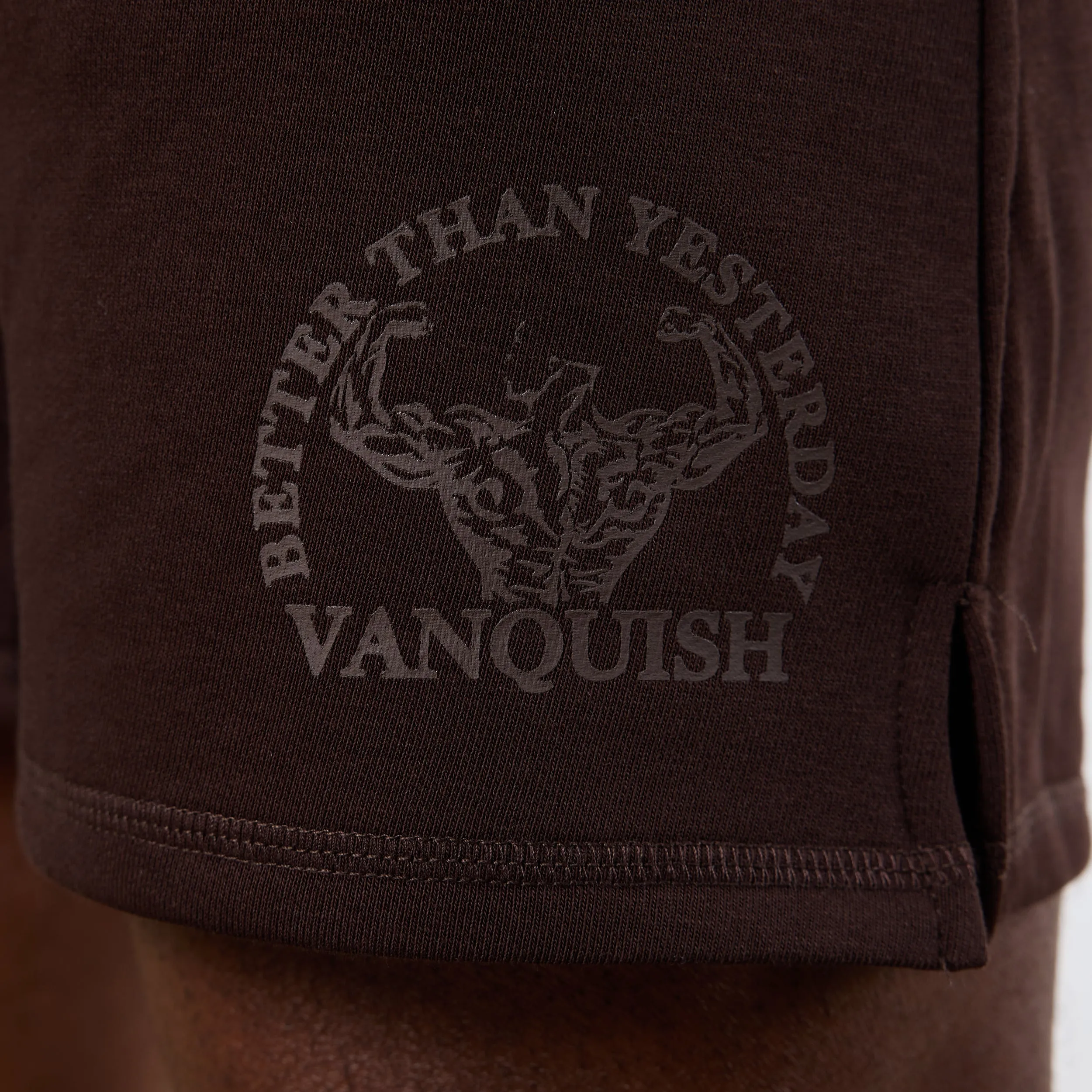 delivery work Vanquish Dark Brown Unconquerable Strength Wide Leg Shorts