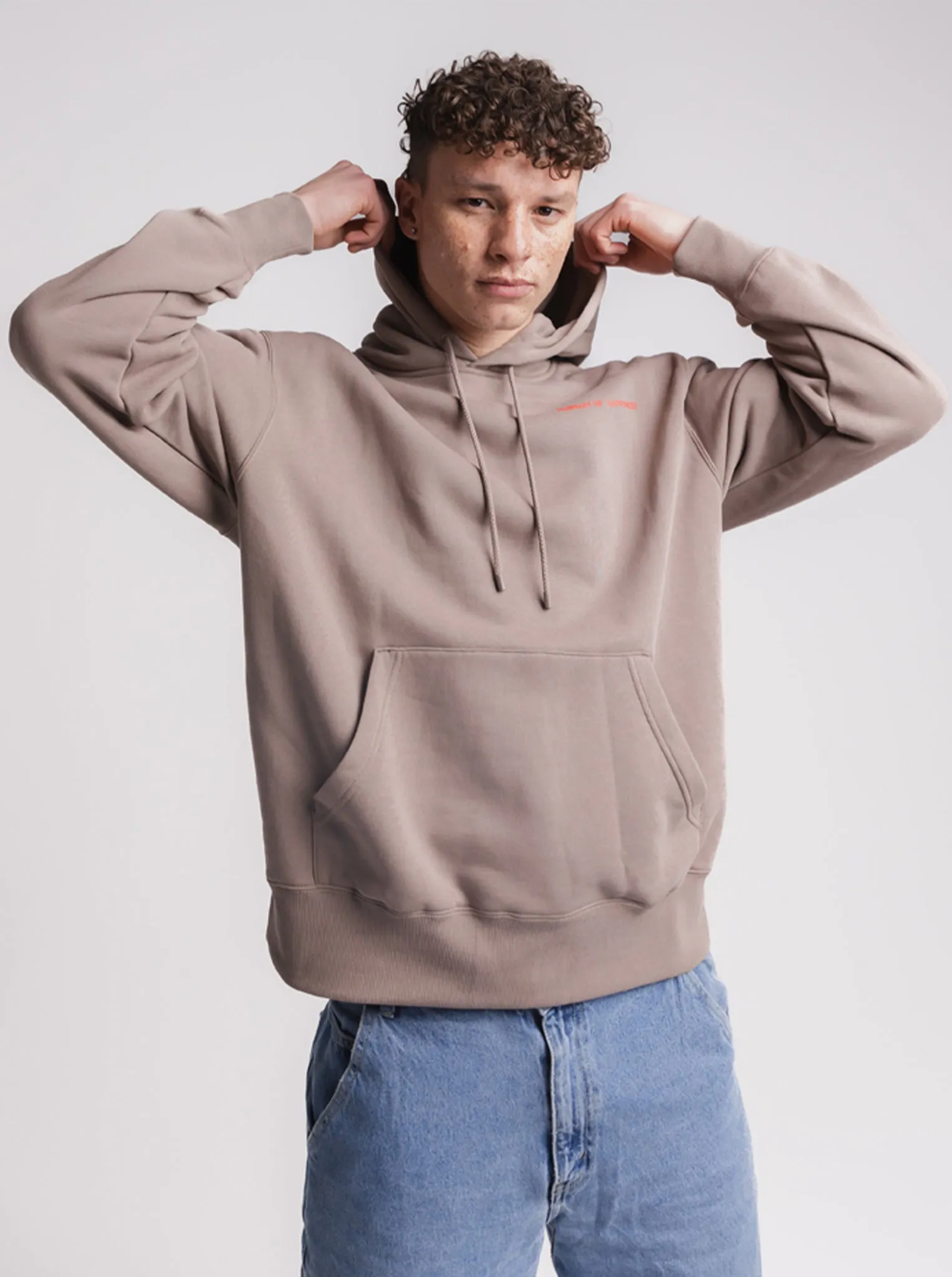 Dream Big Heavyweight Pullover In Washed Taupe Zippered Front
