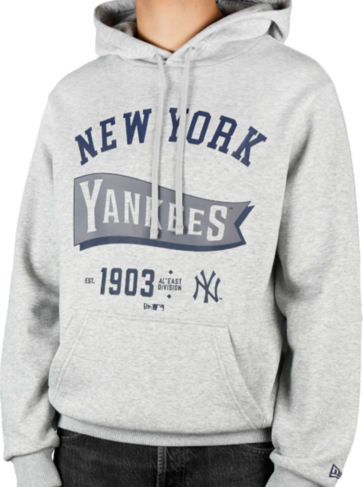 New York Yankees MLB Pennant Graphic Grey Pullover Hoodie Outdoor Motion