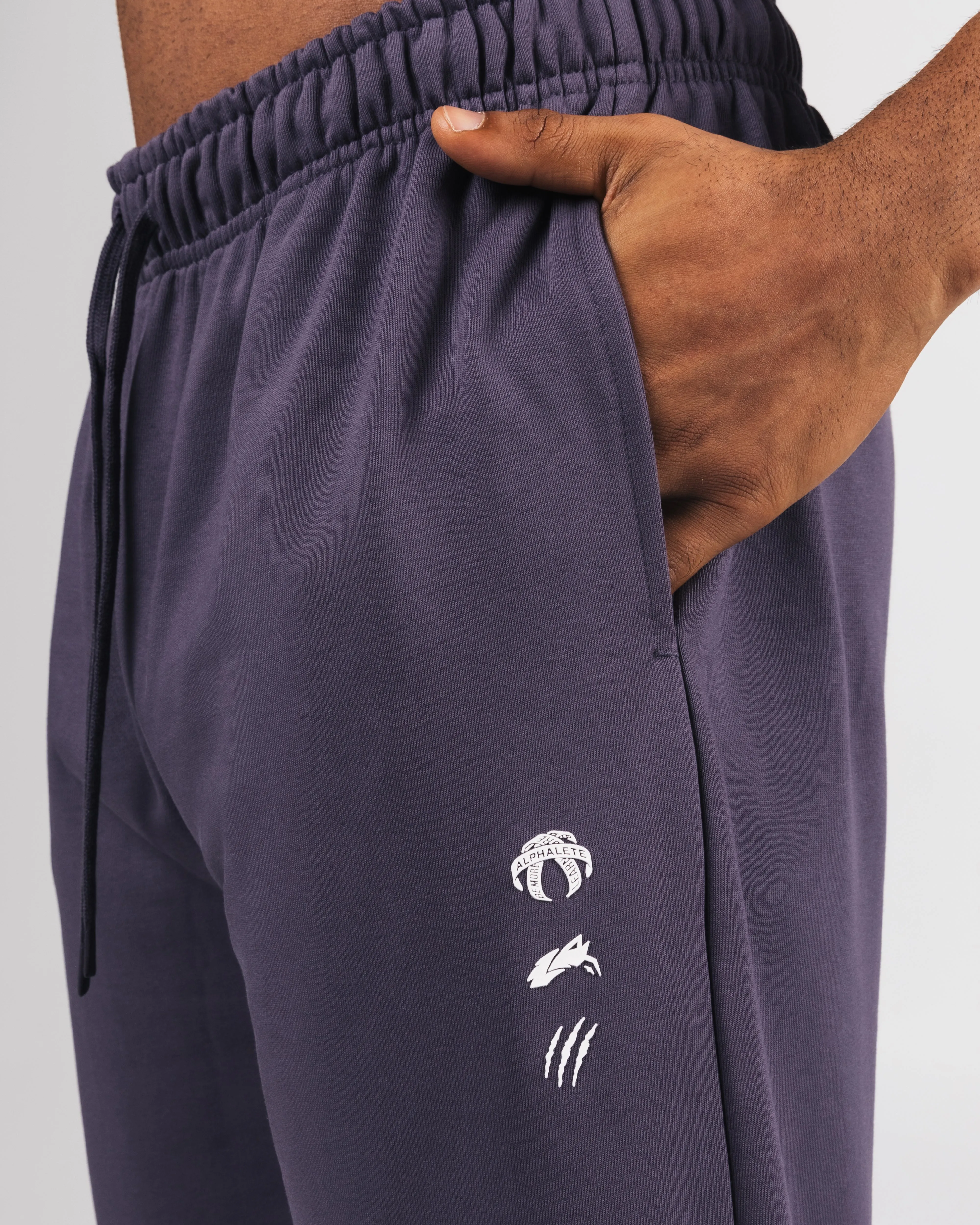 Lightweight Construction Three Pillar Heavyweight Pant - Muted Purple