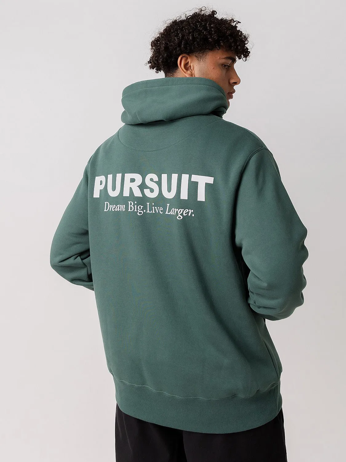 Travel Apparel Tiger like Simple Logo Heavyweight Pullover in Stadium Green