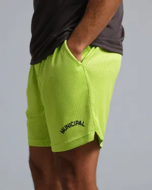 hypoallergenic Field Day Shorts
