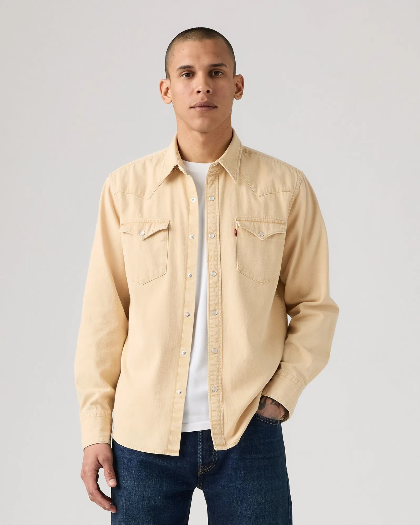 Simple Match Levi's? Barstow Western Standard Shirt - Grass Is Green Khaki GD
