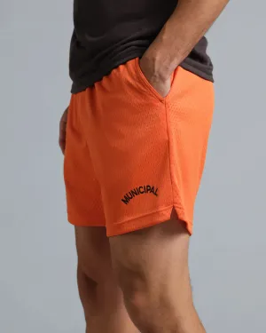 MeshVentilation Field Day Shorts