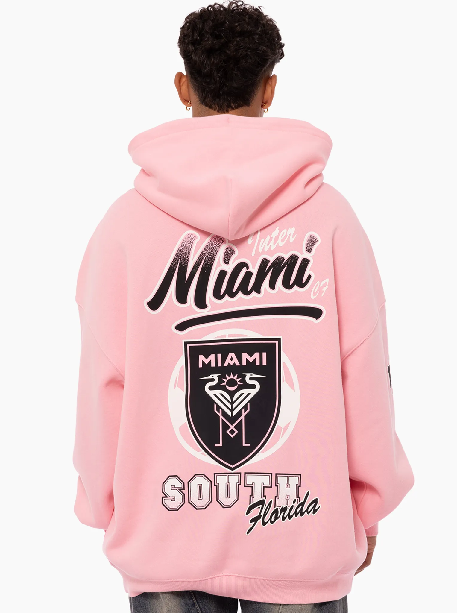 Dolphin like Inaugural Year Hoodie