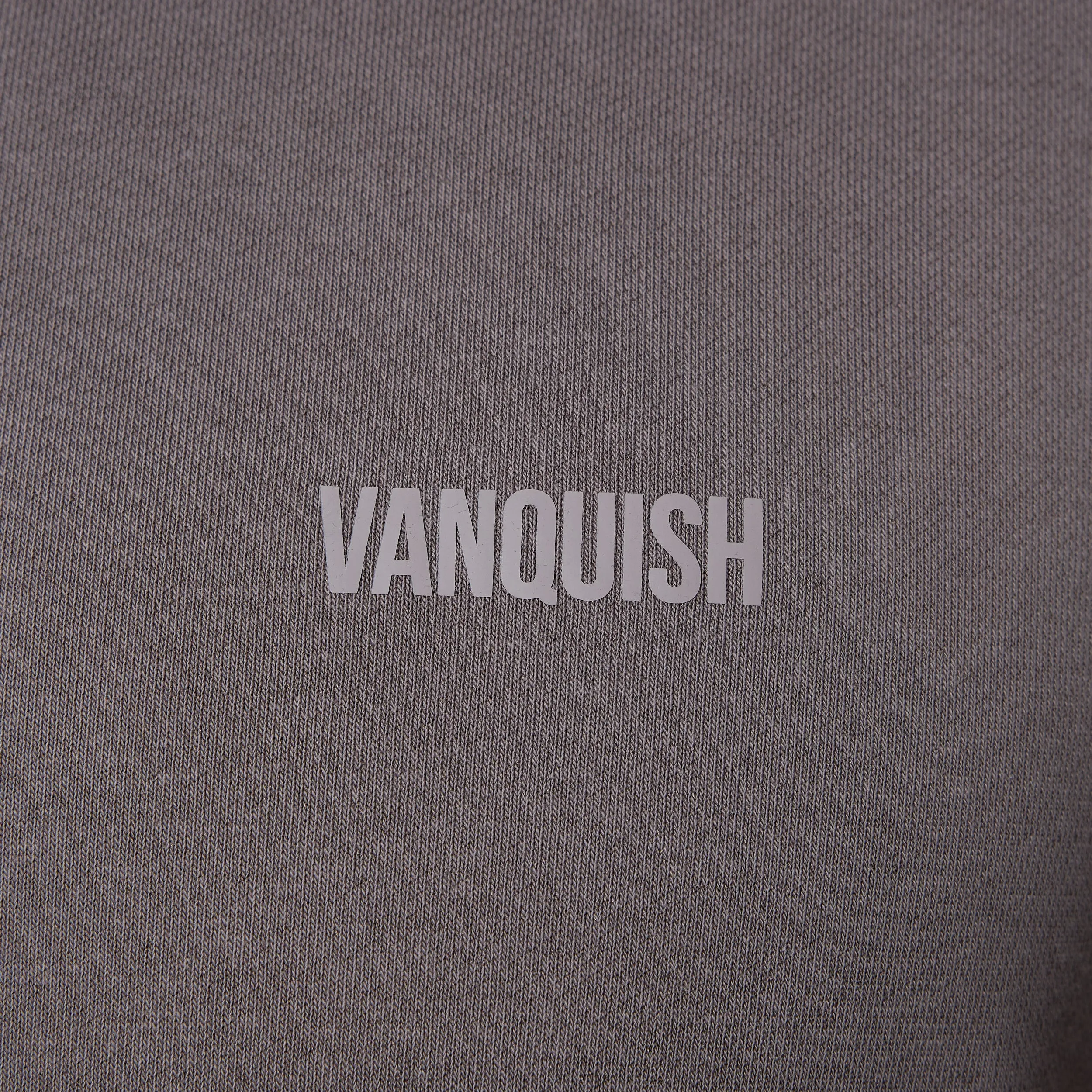 Vanquish Essential Mushroom Oversized Pullover Hoodie Textured Weave Thylacine like