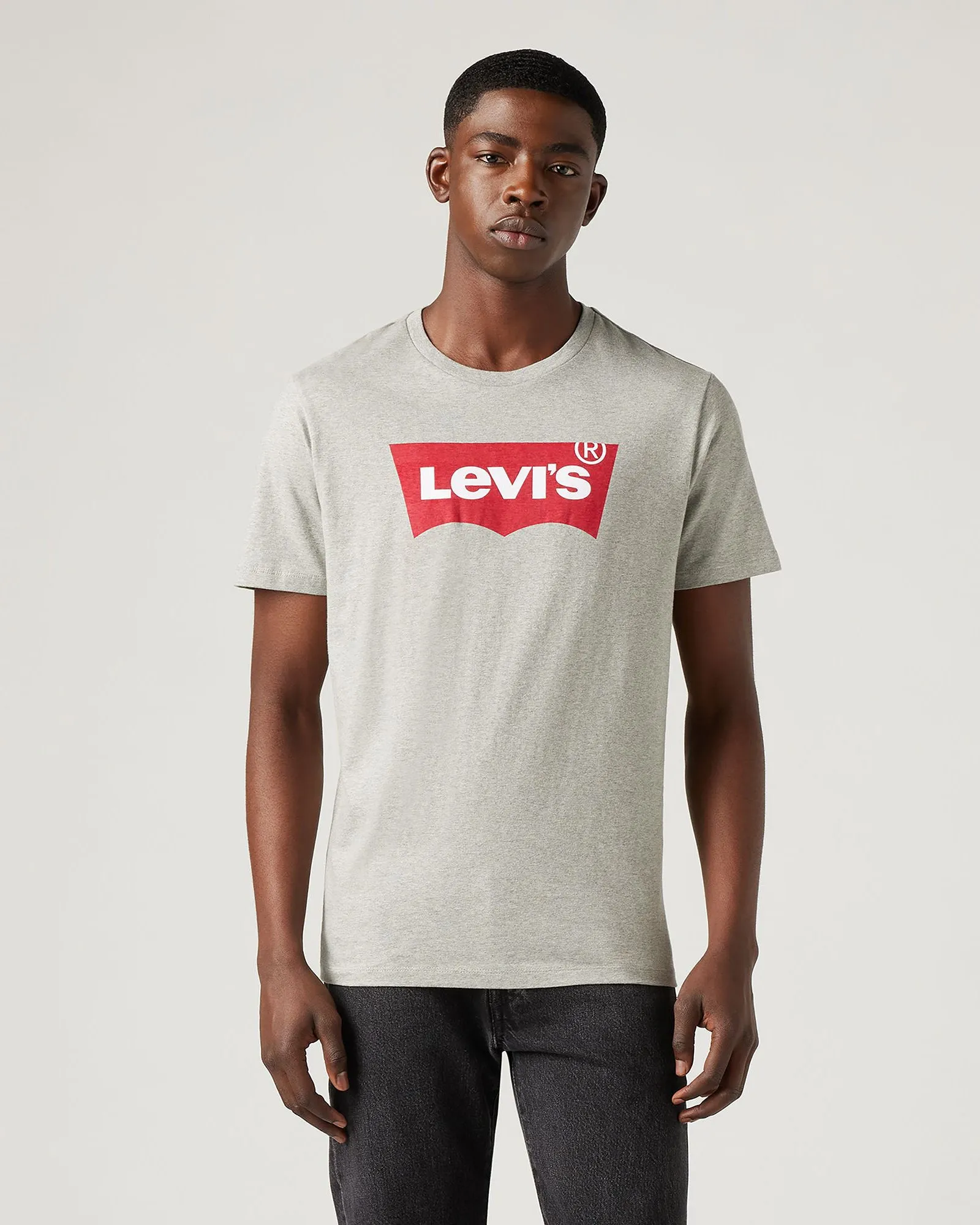 Outdoor Adventure Stylish Family Style Levi's? Housemark Tee - Midtone Grey Heather